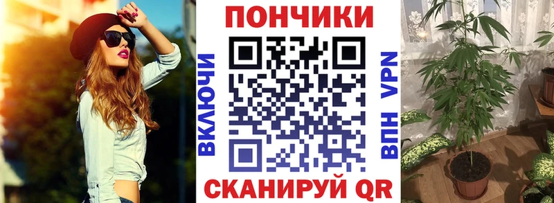 Где купить наркоту Нязепетровск Галлюциногенные грибы  Меф мяу мяу  MEGA ТОР  СК 