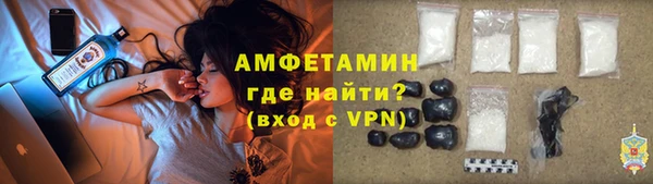прущие грибы Балахна