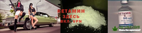 прущие грибы Балахна